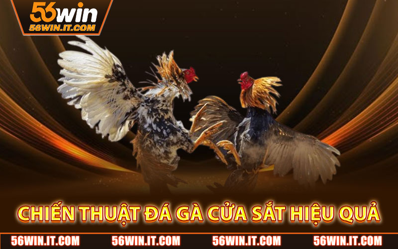 Đá Gà Cửa Sắt – Cá Cược Gay Cấn, Thắng Lớn Từng Trận 3 Chiến Thuật Đá Gà Cửa Sắt Hiệu Quả